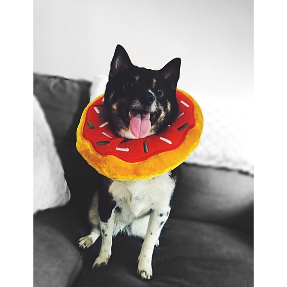 Meet your posher (: - Picture 3 of 3